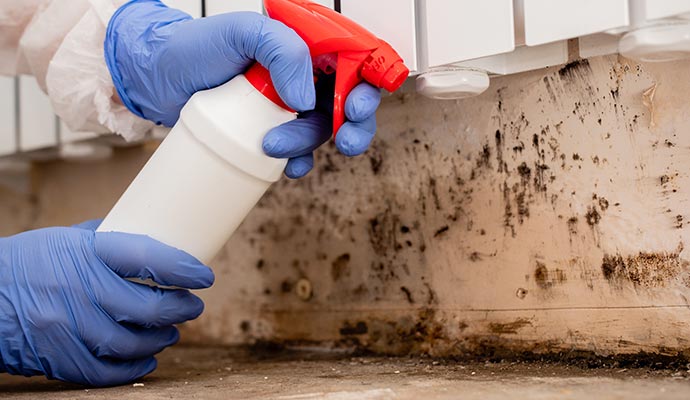 Mold remediation