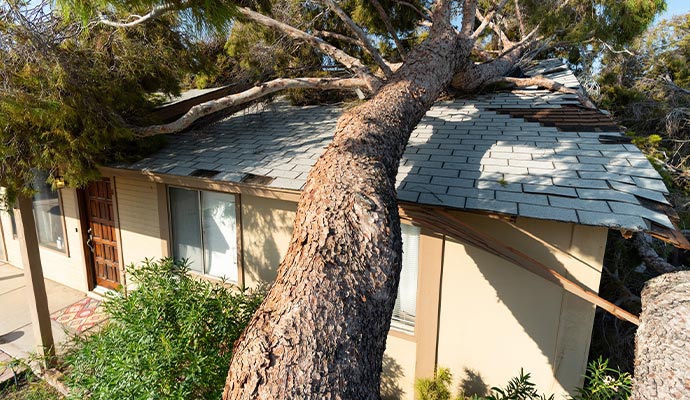A storm damaged property