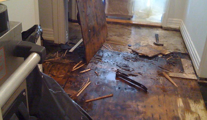 Water damaged property interior